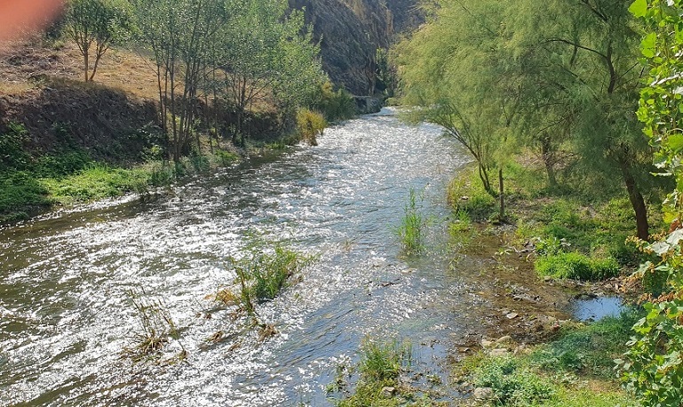 imagen Diálogos desde Evang. 11 Enero-26
